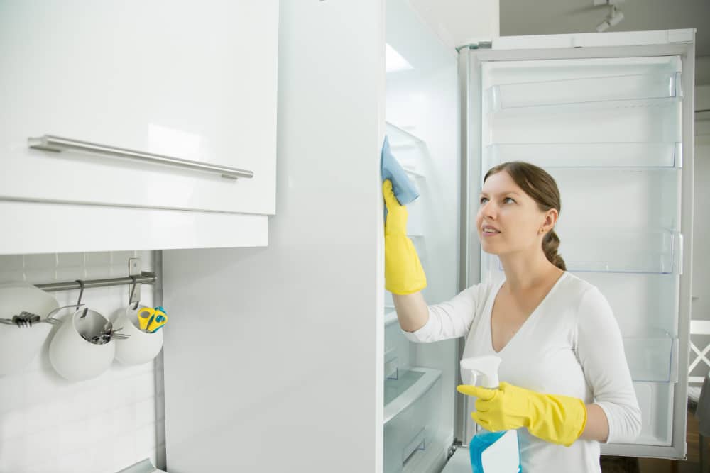 Membersihkan Kulkas dan Freezer Dengan Benar